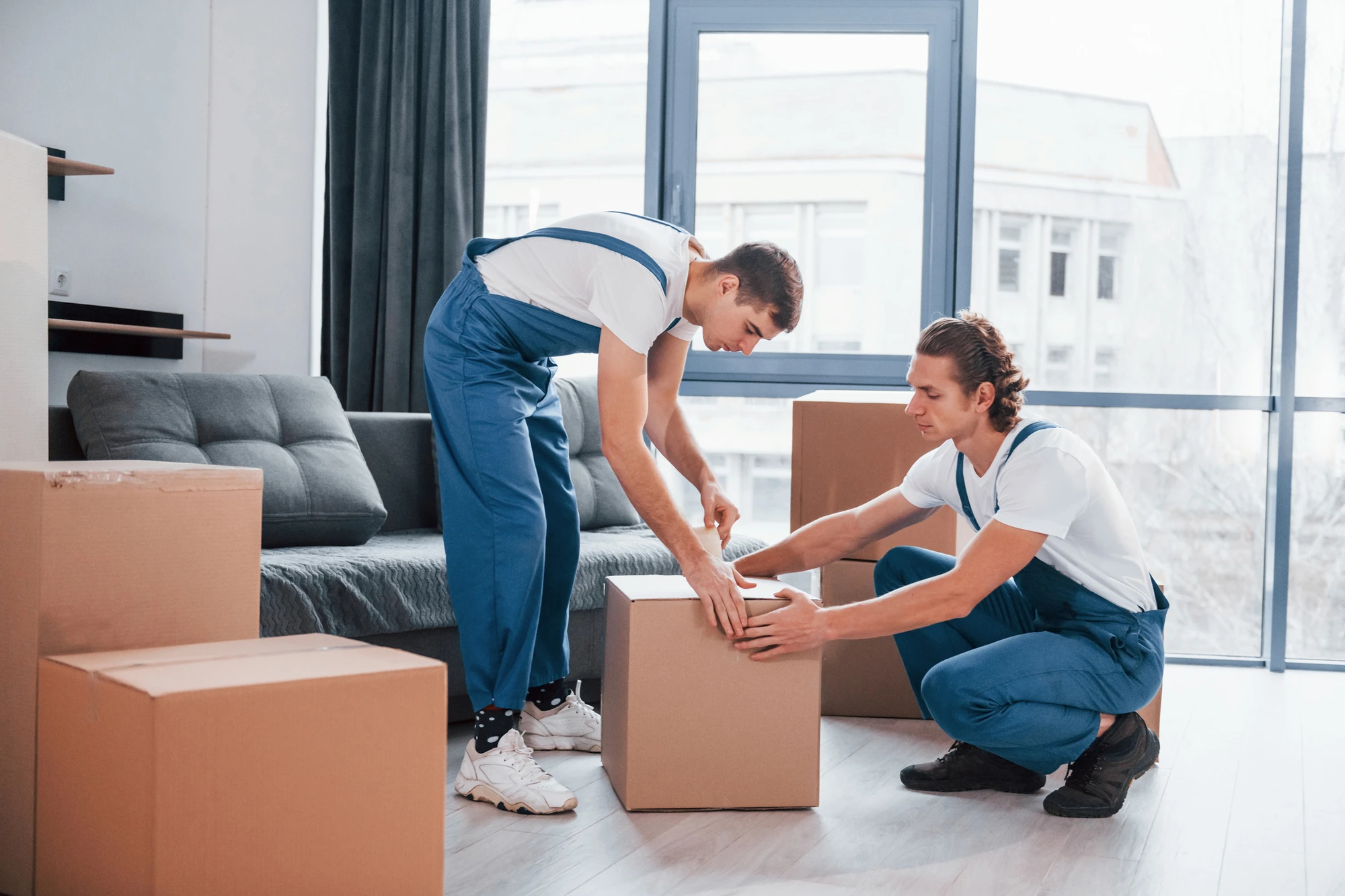 Professional Moving Services